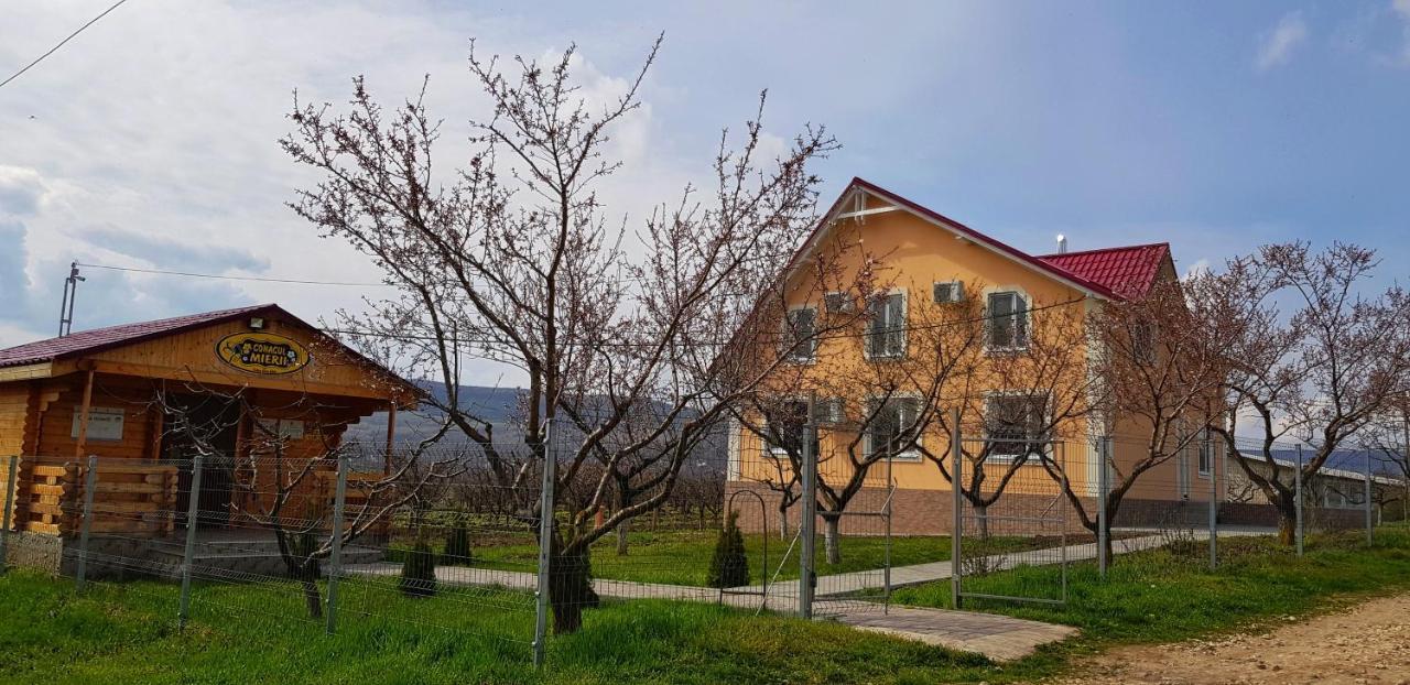 Farm stay Conacul Mierii Straseni